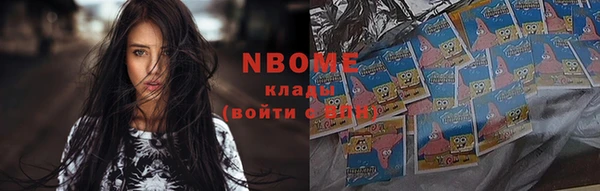 индика Бородино