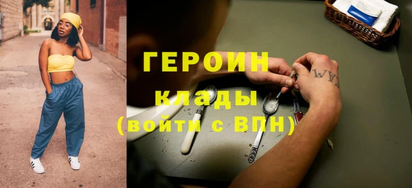 индика Бородино