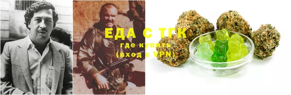 индика Бородино