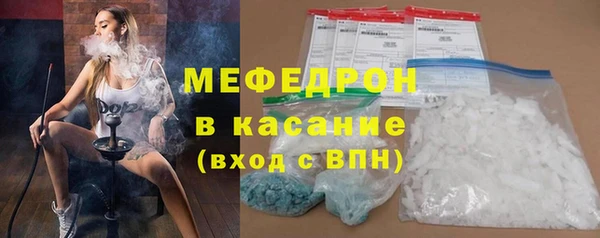 индика Бородино