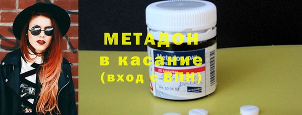 индика Бородино