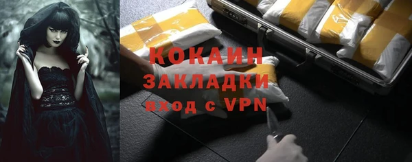 индика Бородино