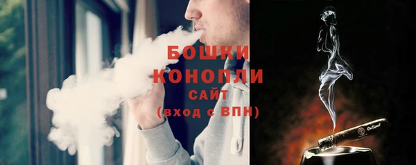 дмт Бронницы