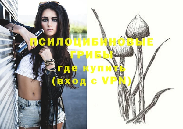 индика Бородино