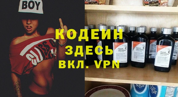 индика Бородино