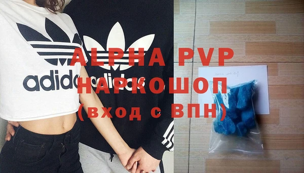 индика Бородино