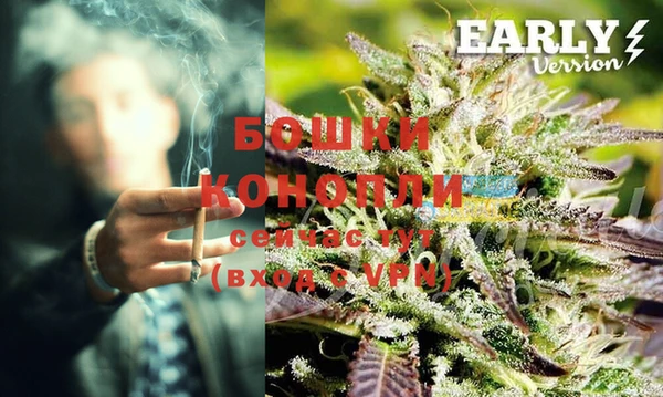 дмт Бронницы