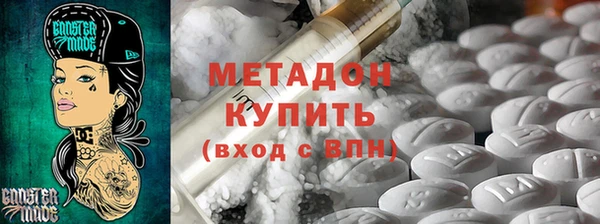индика Бородино