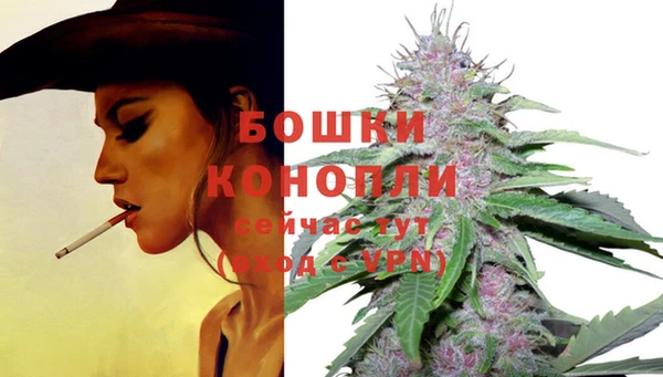 дмт Бронницы