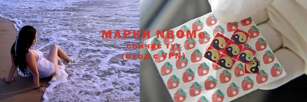 индика Бородино