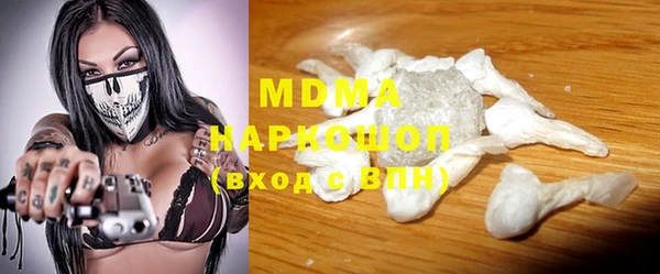 индика Бородино
