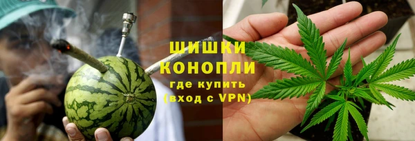 индика Бородино