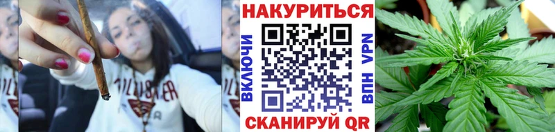 Купить где  Старая Русса  Бошки Шишки планчик 
